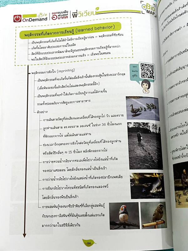 ►สอบเข้ากำเนิดวิทย์, มหิดล,เตรียมอุดม◄ หนังสือกวดวิชาออนดีมานด์ พี่วิเวียน ติวเข้มเนื้อหาชีววิทยา สอบเข้าเตรียมอุดม มหิดล กำเนิดวิทย์ และโรงเรียนแข่งขันสูง มีสรุปเนื้อหาและโจทย์แบบฝึกหัดประจำบท โจทย์มีความยากระดับ Advanced เหมาะสำหรับเด็กที่มีพื้นฐานดี โจ
