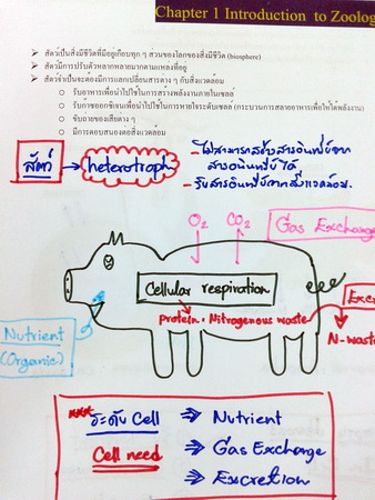 หนังสือ Biobeam ICU Course : Biology of Animals 1 (พร้อมเฉลย)