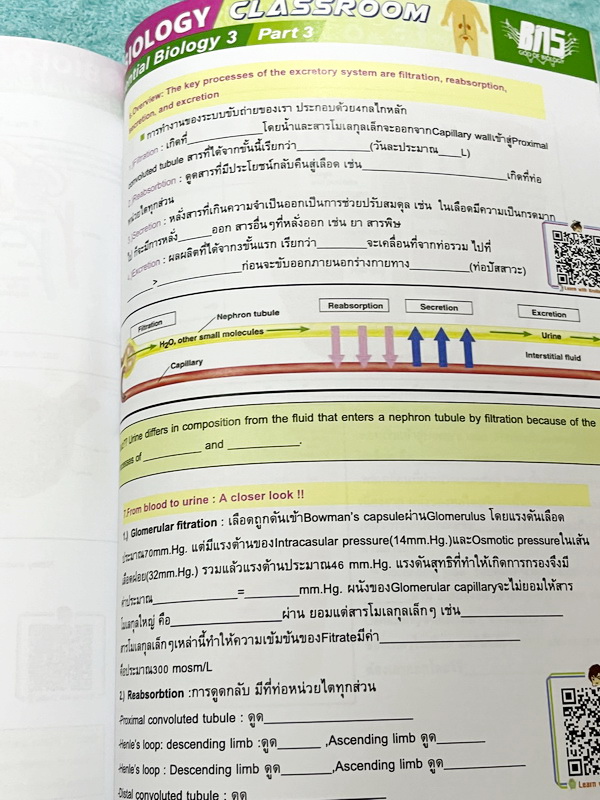 ►ครูบาส◄ หนังสือกวดวิชาชีววิทยา Essential Biology 3 เล่ม1+2 หัวข้อ Human Body System มีสรุปเนื้อหา และรวมโจทย์ข้อสอบแข่งขันประจำบท หนังสือมีเขียนเล็กน้อย ไม่มีเฉลย หนังสือสภาพแทบใหม่เอี่ยม หนังสือพิมพ์สีสวยงามน่าอ่าน