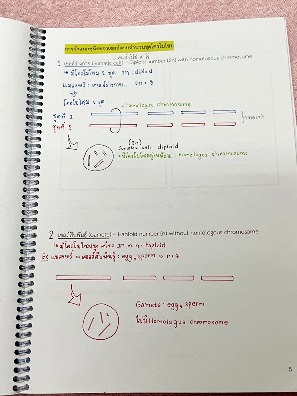 ►หมอพิชญ์ Biobeam◄ หนังสือกวดวิชาปี 2566 หมอพิชญ์ไบโอบีม ICU ไอซียู ครบเซ็ท 8 เล่ม สรุปเนื้อหาทั้งหมดในระดับชั้น ม.ปลาย ม.4-5-6 เนื้อหายากลึกถึงเตรียมตัวสอบเข้ามหาวิทยาลัย สอบแพทย์ TPAT 1 มีโจทย์ประจำบท ในหนังสือจดครบเกือบทั้งเล่ม จดละเอียด โจทย์มีจดเฉลยค