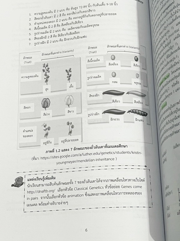 ►หนังสือเรียนโรงเรียนเตรียมอุดม◄ เอกสารประกอบการเรียนรายวิชาวิทยาศาสตร์ ชีววิทยา6 ระดับชั้น ม.6 จัดทำโดยกลุ่มสาระการเรียนรู้วิทยาศาสตร์ มีสรุปเนื้อหาและโจทย์แบบทดสอบ โจทย์เข้มข้น จดบางหน้า ไม่มีเฉลย หนังสือเล่มหนาใหญ่