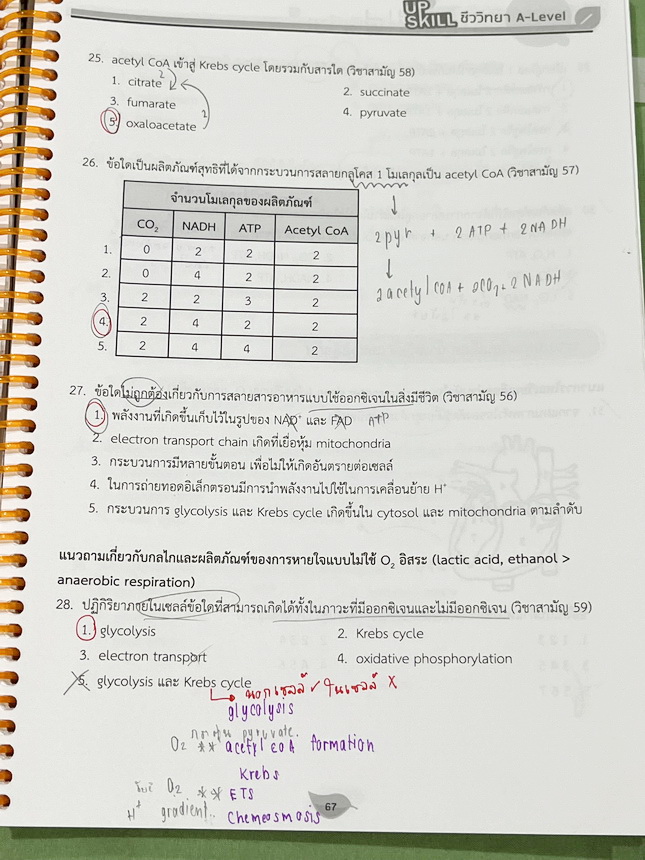 ►ชีววิทยา A-Level◄ หนังสือกวดวิชาออนดีมานด์ Upskill อัพสกิลชีววิทยา A-Level เล่ม 1-2 มีสรุปเนื้อหาสำคัญสั้นๆกระชับ เพื่อใช้เตรียมสอบ ม.ปลาย A-Level มีโจทย์เยอะมาก จดครบเกือบทั้งเล่ม จดละเอียด มีจดเน้นจุดที่ออกสอบบ่อยๆ หนังสือเล่มใหญ่ หนังสือใส่ปกสันเกลียว