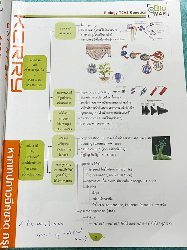 ►ชีววิทยา ม.ปลาย◄ หนังสือกวดวิชาออนดีมานด์ ชีววิทยาพี่วิเวียน TCAS ครบเซ็ท 6 เล่ม + ไฟล์โจทย์ข้อสอบปี 2565-2566 และเฉลยละเอียด - ในหนังสือมีสรุปเนื้อหาวิชาชีววิทยา ม.ปลายอย่างละเอียด เนื้อหาครอบคลุมตั้งแต่ระดับชั้น ม.4-5-6 เนื้อหาลึกถึงสอบเข้ามหาลัย หนังส