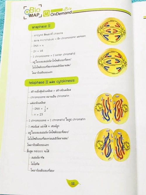 ►Bio Map Mini◄ ออนดีมานด์ พี่วิเวียน สรุปชีววิทยาฉบับพกพา มีสรุปเนื้อหาสำคัญ หนังสือพิมพ์สีทั้งเล่ม มีลำดับหัวข้อที่ชอบออกสอบบ่อยๆในข้อสอบ PAT2 มีเทคนิคลัดเยอะมาก หนังสือตีพิมพ์สมบูรณ์ทั้งเล่ม ในหนังสือมีเขียนเล็กน้อย