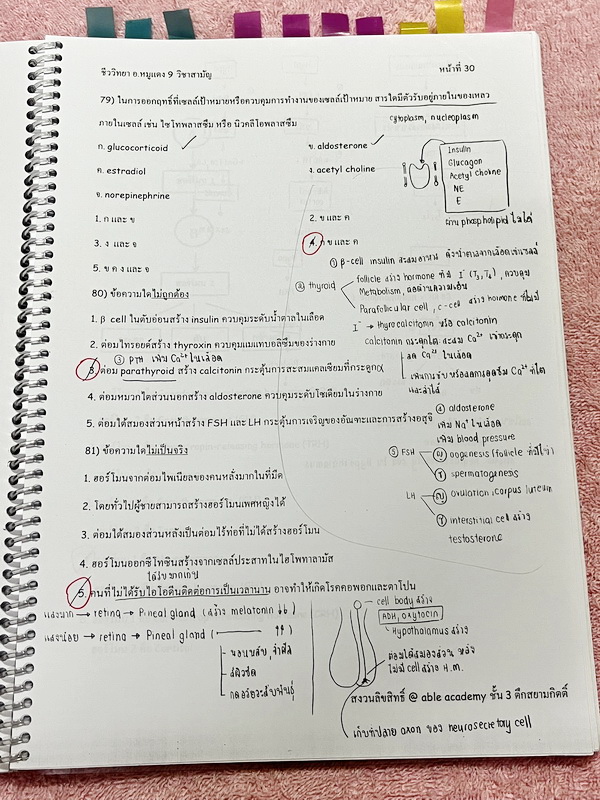 ►อ.หมูแดง◄ หนังสือกวดวิชาชีววิทยา Able Academy อ.หมูแดง เพื่อสอบเข้าแพทย์ กสพท. และสอบเข้ามหาวิทยาลัย Series 2 จดครบเกือบทั้งเล่ม จดละเอียด หนังสือใส่ปกสันเกลียว เปิดอ่านง่าย