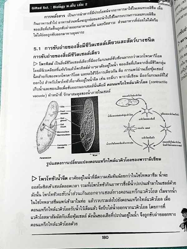 ►GIFTED SCI.◄ ASCI Tutor เอซายน์ ครูป้อม หนังสือเรียนวิทย์ ม.ต้น GIFTED SCI. ชีววิทยาเล่ม 1-2 มีสรุปเนื้อหา เนื้อหาตีพิมพ์สมบูรณ์ มีโจทย์ประจำบท จดบางหน้า จดละเอียด โจทย์ไม่มีเฉลย มีจดเน้นจุดที่ออกในข้อสอบ TU หนังสือเล่มหนาใหญ่