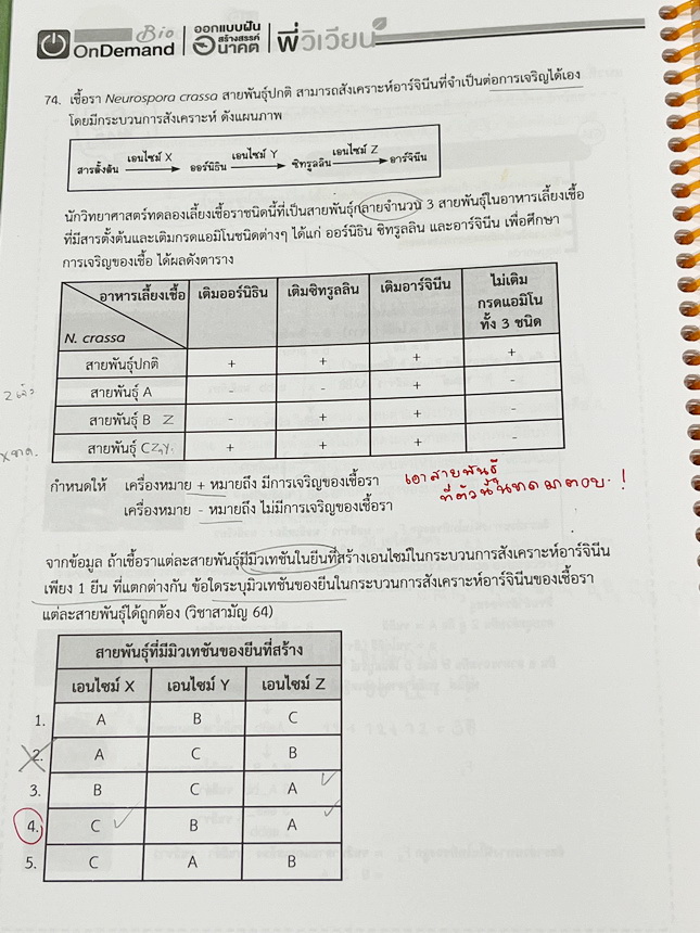 ►ชีววิทยา A-Level◄ หนังสือกวดวิชาออนดีมานด์ Upskill อัพสกิลชีววิทยา A-Level เล่ม 1-2 มีสรุปเนื้อหาสำคัญสั้นๆกระชับ เพื่อใช้เตรียมสอบ ม.ปลาย A-Level มีโจทย์เยอะมาก จดครบเกือบทั้งเล่ม จดละเอียด มีจดเน้นจุดที่ออกสอบบ่อยๆ หนังสือเล่มใหญ่ หนังสือใส่ปกสันเกลียว