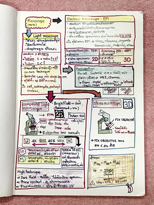 ►หมอพิชญ์ Biobeam◄ Art Beam Shortnote อาร์ทบีม หมอพิชญ์ไบโอบีม หนังสือสรุปเนื้อหาวิชาชีววิทยาทั้งหมดในระดับชั้น ม.ปลาย ทั้งเล่มเขียนด้วยลายมือของหมอพิชญ์ // อาจารย์ลงมือเขียนและวาดรูปเองทุกหน้า หนังสือมีรอยยับเล็กน้อย หนังสือเล่มหนาใหญ่ พิมพ์สีสวยงาม ใช้ก