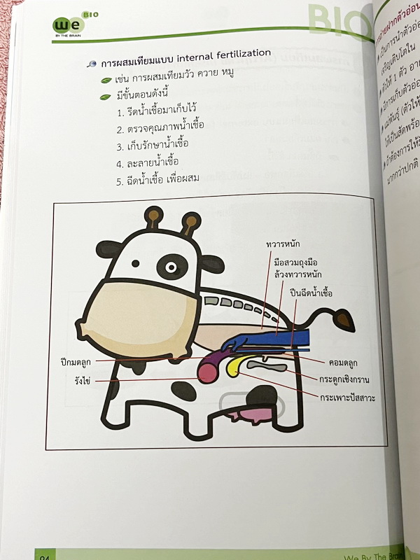 ►We Brain◄ หนังสือวีเบรน Biology For Junior ชีววิทยา ม.ต้น 5 เล่ม สรุปเนื้อหาระดับชั้นม.1-ม.3 มีโจทย์แบบทดสอบประจำบท เนื้อหาบางจุดที่เว้นไว้ให้เติมเอง จดบางหน้า จดละเอียด ไม่มีเฉลย หนังสือสภาพแทบใหม่เอี่ยม หนังสือพิมพ์สีสวยงาม