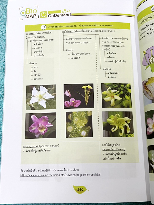 ►หนังสือสรุปชีววิทยา◄ หนังสือกวดวิชา Ondemand ออนดีมานด์ พี่วิเวียน นพ.วีรวัช Biomap ชีววิทยาเล่ม 1+2 สรุปเนื้อหาวิชาชีววิทยาระดับชั้น ม.ปลายทั้งหมด ครอบคลุมเนื้อหาตั้งแต่ชั้น ม.4-5-6 เนื้อหาลึกถึงสอบเข้ามหาวิทยาลัย เนื้อหาตีพิมพ์สมบูรณ์ หนังสือพิมพ์สีสวย