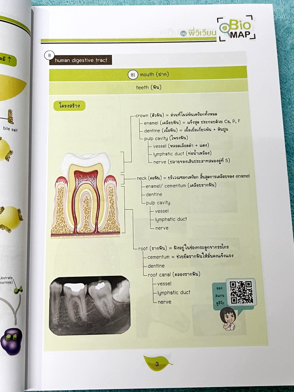 ►หนังสือสรุปชีววิทยา◄ หนังสือกวดวิชา Ondemand ออนดีมานด์ พี่วิเวียน นพ.วีรวัช Biomap ชีววิทยาเล่ม 1+2 สรุปเนื้อหาวิชาชีววิทยาระดับชั้น ม.ปลายทั้งหมด ครอบคลุมเนื้อหาตั้งแต่ชั้น ม.4-5-6 เนื้อหาลึกถึงสอบเข้ามหาวิทยาลัย เนื้อหาตีพิมพ์สมบูรณ์ หนังสือพิมพ์สีสวย