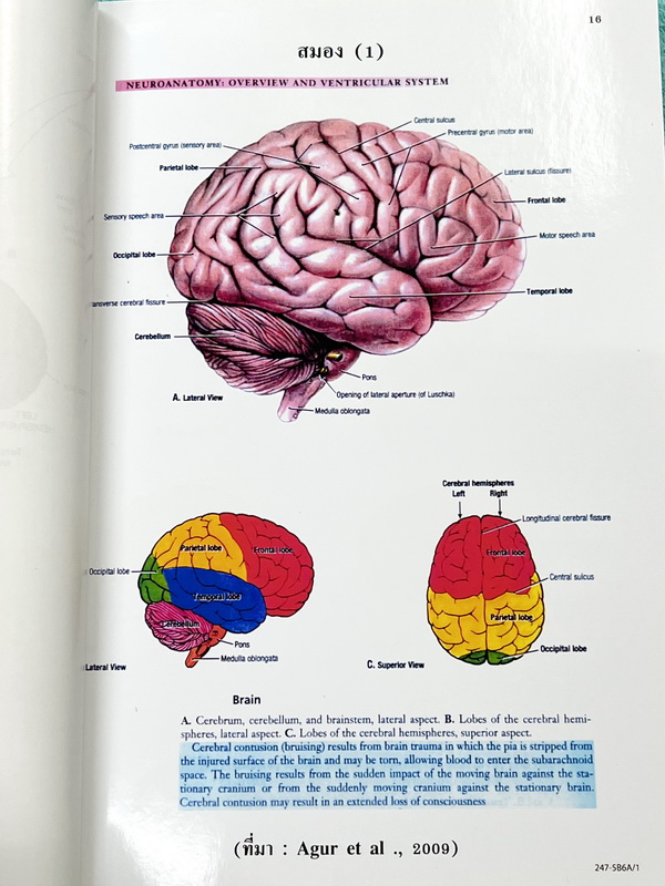 ►ยูเรก้า◄ Eureka หนังสือกวดวิชา อ.เอกฤทธิ์ ชีววิทยา ม.5 หลักสูตร B มีสรุปเนื้อหา โจทย์แบบฝึกหัดประจำบท ในหนังสือมีเขียนเล็กน้อย เนื้อหาตีพิมพ์สมบูรณ์ทุกบท ด้านหลังมีเฉลยของอาจารย์ และมีคำอธิบายเฉลยละเอียดบางข้อ หนังสือเล่มหนาใหญ่