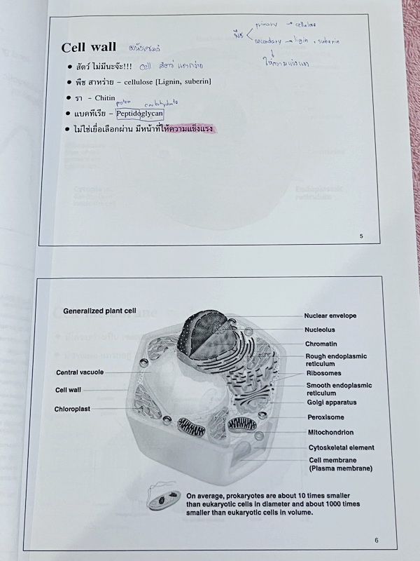 ►ครูพี่อร◄ ครูอติพร โค้งสุดท้าย ชีวะม.ต้น สรุปเนื้อหาวิชาชีววิทยาระดับชั้น ม.1-ม.3 มีจดครบเกือบทั้งเล่ม จดละเอียด ด้านหลังมีโจทย์แบบฝึกหัด มีจดเฉลยครบเกือบทุกข้อ อาจารย์มีเน้นย้ำจุดสำคัญที่ควรจำ ควรใส่ใจเป็นพิเศษ