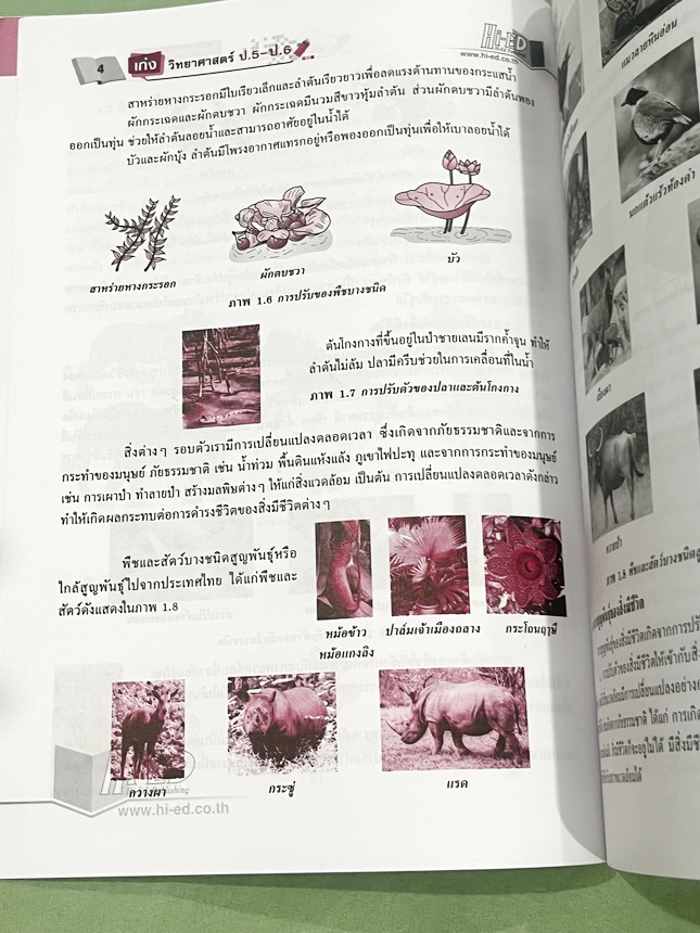 ►วิทย์ประถมปลาย ◄ หนังสือ Hi-Ed อ.สมพงษ์ เก่งวิทยาศาสตร์ป.5-ป.6 มีสรุปเนื้อหา โจทย์แบบทดสอบ มีเฉลยละเอียดครบทุกข้อ หนังสือมีทำโจทย์ไปแล้วบางหน้า หนังสือหายาก ขายเกินราคาปก