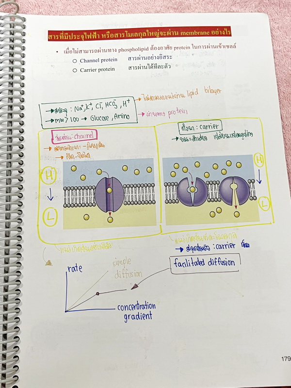 ►หมอพิชญ์ Biobeam◄ หนังสือเรียนชีววิทยา คอร์ส ICU ไอซียู ครบเซ็ท 8 เล่ม พร้อมไฟล์จดเนื้อหาครบทั้งเซ็ทแบบละเอียดมากครบทั้ง 8 เล่ม และไฟล์ชีทเสริม ในหนังสือเล่ม 1-6 จดครบเกือบทั้งเล่ม จดละเอียด มีวาดภาพประกอบเนื้อหาเยอะมาก , เล่ม 7-8 มีจดเล็กน้อย แบบฝึกหัดป