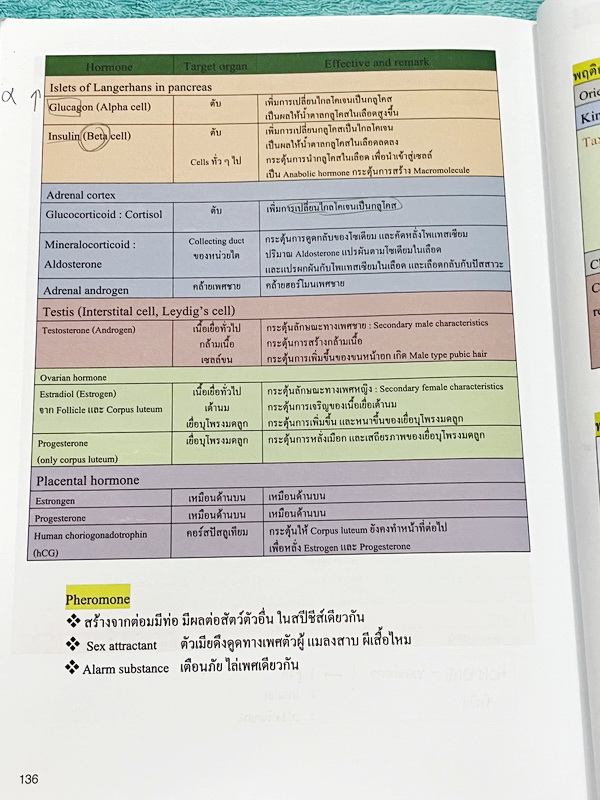 ►หมอพิชญ์ ไบโอบีม◄ Art Beam 2nd Edition อาร์ทบีมหมอพิชญ์ 2nd Edition สรุปเนื้อหาชีววิทยาทั้งหมด ครบทุกบททุกเรื่อง พิมพ์สีสวยงามทั้งเล่ม จดครบเกือบทั้งเล่ม จดละเอียด *มุมปกล่างมีรอยตัดเล็กน้อย*