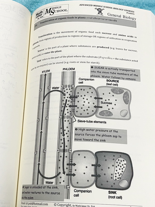 ►สอบ สอวน. ,สอบแข่งขันขึ้น ม.4◄ หนังสือเรียน Dr.POK ชีววิทยาสอบ สอวน. สอบแข่งขันขึ้น ม.4 สอบ SAT2 เรื่องพืช มีสรุปเนื้อหา และโจทย์ระดับยาก Advanced ทั้งเนื้อหาและโจทย์ในหนังสือมีทั้งภาษาไทย + ภาษาอังกฤษ เหมาะสำหรับเด็กที่มีพื้นฐานสูง เนื้อหาตีพิมพ์สมบูรณ์