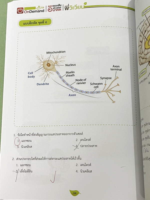 ►สอบเข้าเตรียมอุดม◄ หนังสือกวดวิชาพี่วิเวียน ออนดีมานด์ Upskill ตะลุยโจทย์ชีววิทยา เพื่อสอบเข้าโรงเรียนเตรียมอุดมศึกษา เน้นฝึกทำโจทย์ทั้งเล่ม มีโจทย์ครบทุกเรื่องทุกบท จดครบกือบทั้งเล่ม จดละเอียด