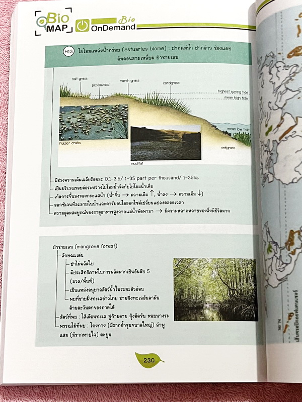 ►หนังสือสรุปชีววิทยา◄ ครบเซ็ท หนังสือกวดวิชา Ondemand ออนดีมานด์ พี่วิเวียน นพ.วีรวัช Biomap ชีววิทยาเล่ม 1+2 สรุปเนื้อหาวิชาชีววิทยาระดับชั้น ม.ปลายทั้งหมด ครอบคลุมเนื้อหาตั้งแต่ชั้น ม.4-5-6 เนื้อหาลึกถึงสอบเข้ามหาวิทยาลัยเนื้อหาตีพิมพ์สมบูรณ์ หนังสือพิม