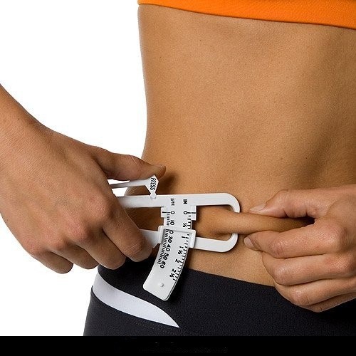 คีมวัด fat index คีมวัดไขมัน ( Fat Caliper )