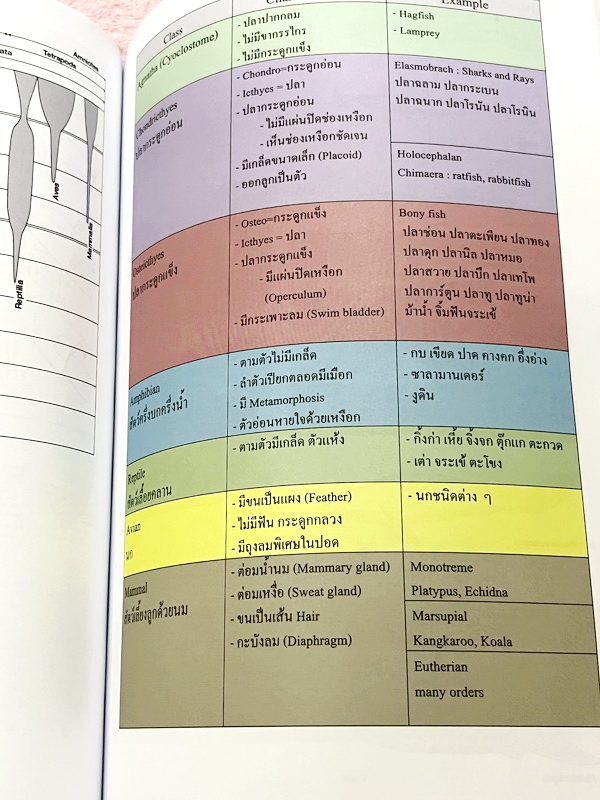 ►ชีววิทยา ม.ต้น◄ หนังสือกวดวิชาหมอพิชญ์ไบโอบีม Fundamental Biology ชีววิทยา ม.ต้น Biobeam สรุปเนื้อหาทุกบทในวิชาวิทยาศาสตร์ชีววิทยา ระดับชั้นมัธยมศึกษาตอนต้น ม.1-2-3 เนื้อหายากลึกถึงสอบเข้า ม.4 ร.ร.ดัง ในหนังสือจดครบเกือบทั้งเล่ม จดละเอียด มีวาดภาพประกอบเ