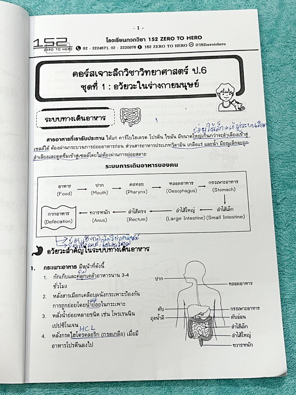 ►หนังสือประถมปลาย◄ Zero to Hero คอร์สเจาะลึกวิชาวิทยาศาสตร์ ป.6 เทอมต้น มีสรุปเนื้อหาสำคัญ มีโจทย์แบบทดสอบประจำบท จดครบเกือบทั้งเล่ม จดละเอียด