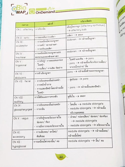 ►Bio Map Mini◄ ออนดีมานด์ พี่วิเวียน สรุปชีววิทยาฉบับพกพา มีสรุปเนื้อหาสำคัญ หนังสือพิมพ์สีทั้งเล่ม มีลำดับหัวข้อที่ชอบออกสอบบ่อยๆในข้อสอบ PAT2 มีเทคนิคลัดเยอะมาก หนังสือตีพิมพ์สมบูรณ์ทั้งเล่ม ในหนังสือมีเขียนเล็กน้อย