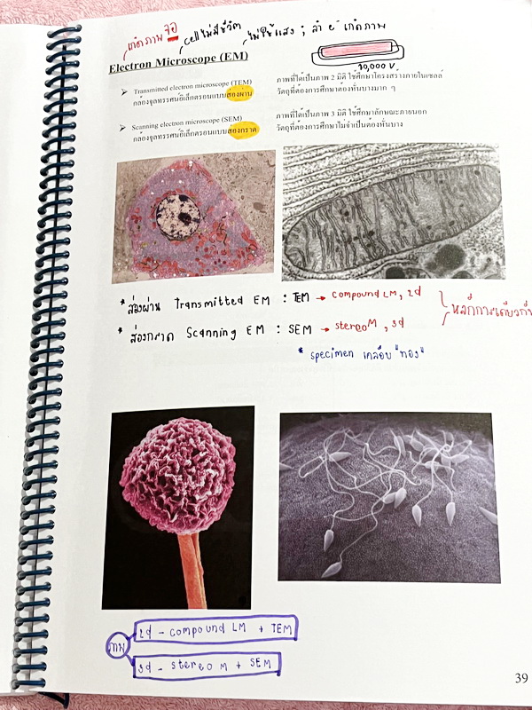 ►ชีววิทยา ม.ต้น◄ หนังสือกวดวิชาหมอพิชญ์ไบโอบีม Fundamental Biology ชีววิทยา ม.ต้น Biobeam สรุปเนื้อหาทุกบทในวิชาวิทยาศาสตร์ชีววิทยา ระดับชั้นมัธยมศึกษาตอนต้น ม.1-2-3 เนื้อหายากลึกถึงสอบเข้า ม.4 ร.ร.ดัง ในหนังสือจดครบเกือบทั้งเล่ม จดละเอียด มีวาดภาพประกอบเ