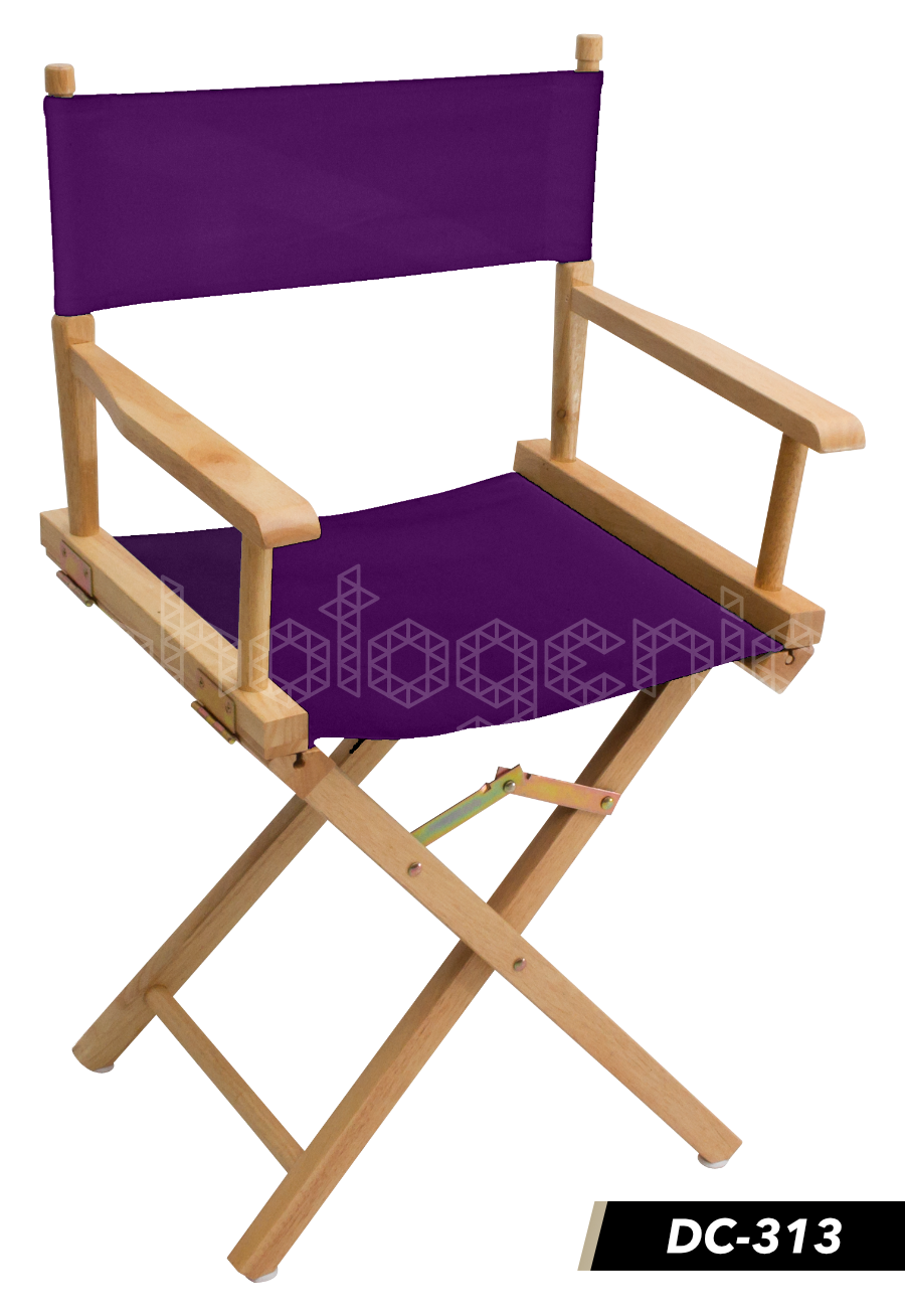 เก้าอี้ผู้กำกับ DC-3