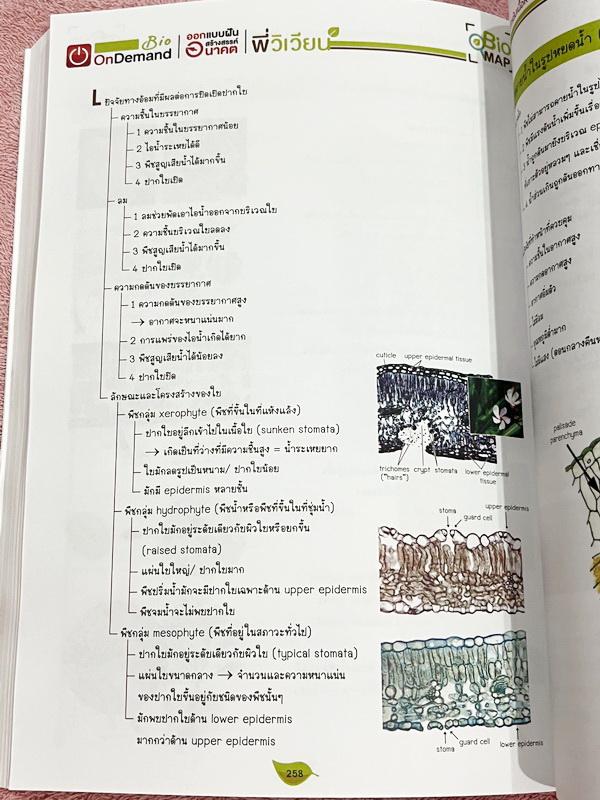 ►สอบเข้ากำเนิดวิทย์,มหิดล,โรงเรียนแข่งขันสูง◄ หนังสือกวดวิชาออนดีมานด์ พี่วิเวียน ติวเข้มเนื้อหาชีววิทยา สอบเข้า มหิดล กำเนิดวิทย์ และโรงเรียนแข่งขันสูง มีสรุปเนื้อหาและโจทย์แบบฝึกหัดประจำบท เนื้อหาตีพิมพ์สมบูรณ์ โจทย์มีความยากระดับ Advanced เหมาะสำหรับเด
