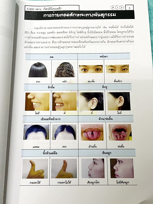 ►สสวท. ป.5◄ หนังสือเรียนพิเศษ อ.บิ๊ก ป.5 สสวท. เล่ม 1-4 มีสรุปเนื้อหาและโจทย์ Test ข้อสอบประจำบท จดครบเกือบทั้งเล่ม จดละเอียด มีบางหน้าเว้นว่างไปบ้างไม่ได้จด หนังสือใส่ปกสันเกลียว เปิดอ่านง่าย