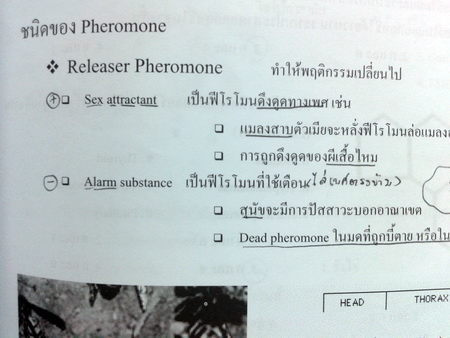 หนังสือหมอพิชญ์ไบโอบีม Basic Biology (OPD) Vol.3 : Human body 2