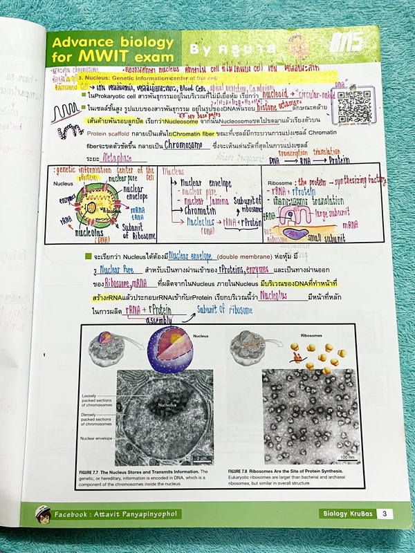 ►สอบเข้า MWIT◄ ครูพี่บาส Advanced Biology for MWIT Exam + ชีทเสริม หนังสือสรุปเนื้อหาวิชาชีววิทยาเพื่อสอบเข้า ม.4 มหิดล มีโจทย์ข้อสอบและแนวข้อสอบที่น่าสนใจ ในหนังสือจดครบเกือบทั้งเล่ม จดละเอียด จดเป็นระเบียบ ตั้งใจเรียน ชีทเสริมมีจดครบทั้งหมด หนังสือพิมพ์