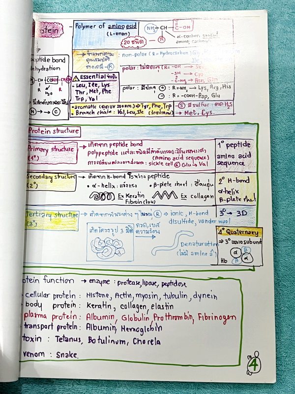 ►หมอพิชญ์ Biobeam◄ Art Beam Shortnote อาร์ทบีม หมอพิชญ์ไบโอบีม สรุปเนื้อหาวิชาชีววิทยาทั้งหมดด้วยลายมือของหมอพิชญ์เอง อาจารย์ลงมือเขียนและวาดรูปเองทุกหน้า พิมพ์สีสวยงาม กระดาษอาร์ทมันอย่างดีทั้งเล่ม *หน้าปกหนังสือมีรอยยับ *