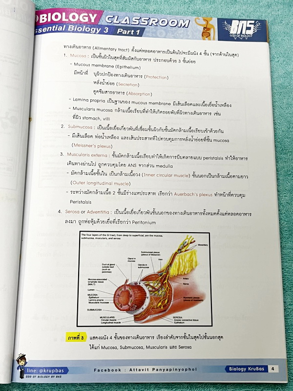 ►ครูบาส◄ หนังสือกวดวิชาชีววิทยา Essential Biology 3 เล่ม1+2 หัวข้อ Human Body System มีสรุปเนื้อหา และรวมโจทย์ข้อสอบแข่งขันประจำบท หนังสือมีเขียนเล็กน้อย ไม่มีเฉลย หนังสือสภาพแทบใหม่เอี่ยม หนังสือพิมพ์สีสวยงามน่าอ่าน
