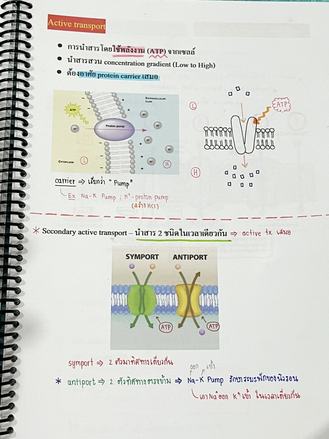 ►หมอพิชญ์ Biobeam◄ หนังสือเรียนชีววิทยา คอร์ส ICU ไอซียู ครบเซ็ท 8 เล่ม พร้อมไฟล์จดเนื้อหาครบทั้งเซ็ทแบบละเอียดมากครบทั้ง 8 เล่ม และไฟล์ชีทเสริม ในหนังสือจดครบเกือบทั้งเล่ม จดละเอียด มีวาดภาพประกอบเนื้อหาเยอะมาก แบบฝึกหัดประจำบทมีจดเฉลยบางข้อ เฉพาะเล่ม 8