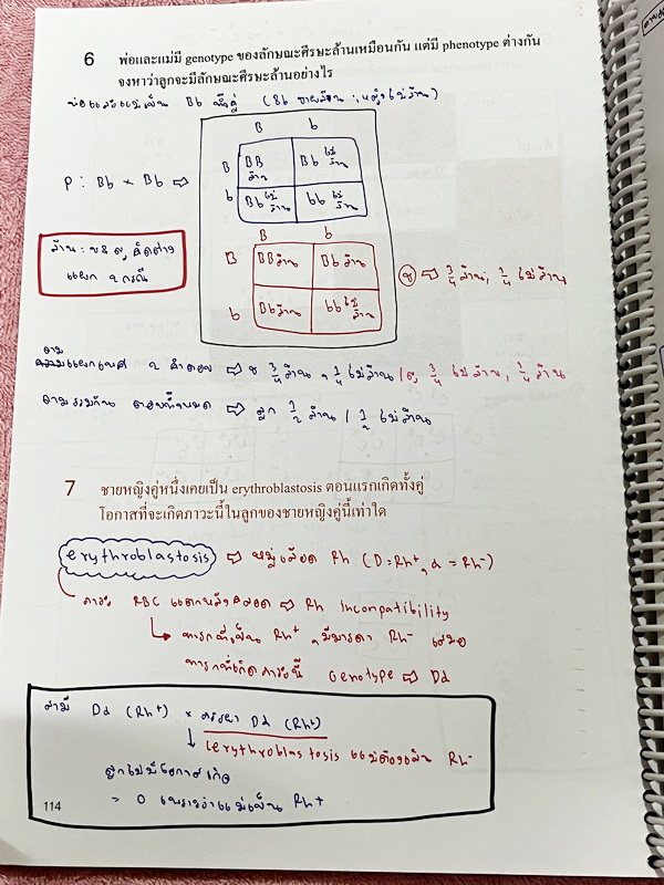 ►หมอพิชญ์ Biobeam◄ หนังสือเรียนชีววิทยา คอร์ส ICU ไอซียู ครบเซ็ท 8 เล่ม พร้อมไฟล์จดเนื้อหาครบทั้งเซ็ทแบบละเอียดมากครบทั้ง 8 เล่ม และไฟล์ชีทเสริม ในหนังสือเล่ม 1-3 มีจดบางหน้า จดละเอียด เล่ม 4-8 มีจดเล็กน้อย แบบฝึกหัดประจำบทมีจดเฉลยบางข้อ ส่วนข้อที่ไม่ได้จ