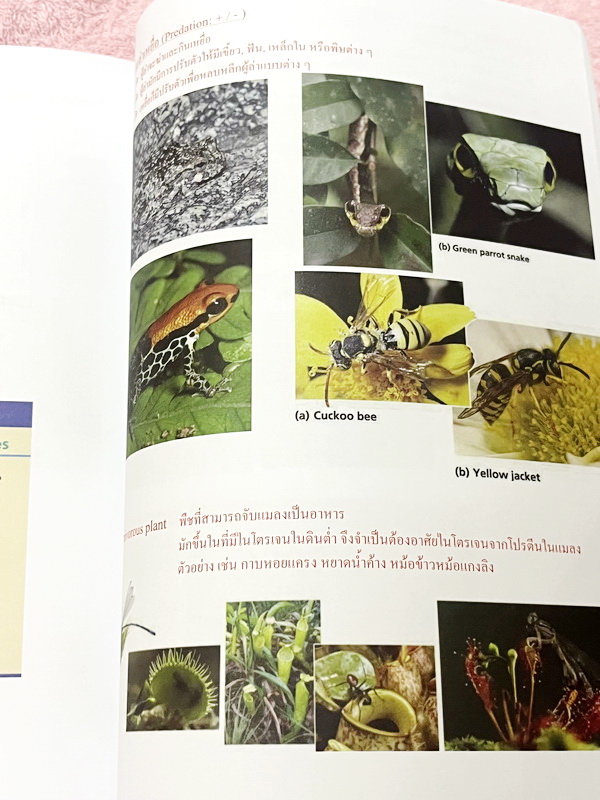 ►ชีววิทยา ม.ต้น◄ หนังสือกวดวิชาหมอพิชญ์ไบโอบีม Fundamental Biology ชีววิทยา ม.ต้น Biobeam สรุปเนื้อหาทุกบทในวิชาวิทยาศาสตร์ชีววิทยา ระดับชั้นมัธยมศึกษาตอนต้น ม.1-2-3 เนื้อหายากลึกถึงสอบเข้า ม.4 ร.ร.ดัง ในหนังสือจดครบเกือบทั้งเล่ม จดละเอียด มีวาดภาพประกอบเ