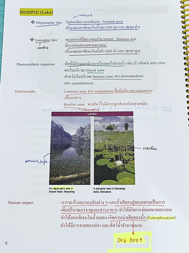 ►หมอพิชญ์ Biobeam◄ หนังสือเรียนชีววิทยาคอร์ส ICU ไอซียู ครบเซ็ท 8 เล่ม พร้อมไฟล์จดเนื้อหาครบทั้งเซ็ทแบบละเอียดมากครบทั้ง 8 เล่ม และไฟล์ชีทเสริม ในหนังสือจดครบเกือบทั้งเล่ม จดละเอียด มีวาดภาพประกอบเนื้อหาเยอะมาก มีโจทย์แบบทดสอบประจำบท มีจดเฉลยครบเกือบทั้งห
