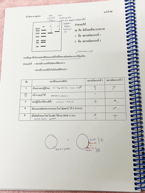 ►อ.หมูแดง◄ ชีววิทยาอาจารย์หมูแดง เก็งข้อสอบชีววิทยาวิชาสามัญ และ PAT 2 ปี 2565 จดเฉลยครบเกือบทั้งหมด จดละเอียด หนังสือใส่ปกสันเกลียว เปิดอ่านง่าย