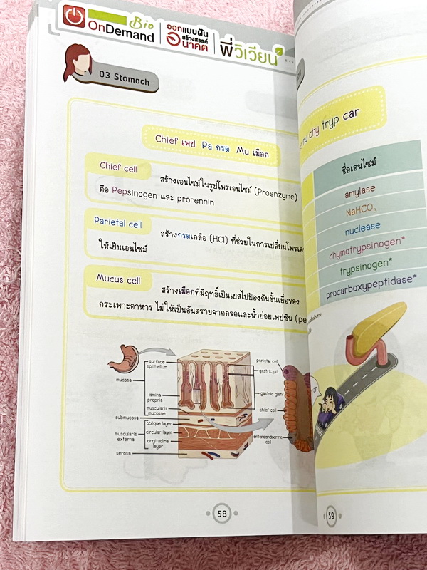 ►Bio Code◄ หนังสือชีววิทยาพี่วิเวียน ออนดีมานด์ Bio Code รวม Trick เทคนิคการจำ อารมณ์คล้ายๆสูตรลัดของคณิตศาสตร์ ออกแบบอ้างอิงการจดจำของสมอง เห็นปุ๊บ ตอบได้ปั๊บ ประหยัดเวลาด้วย Bio Code // ในหนังสือมีเขียนเล็กน้อย หนังสือพิมพ์สีสวยงามทั้งเล่ม หนังสือมีขนาด