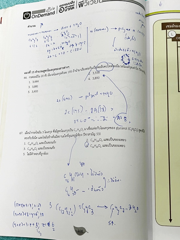 ►ชีววิทยา ม.ปลาย◄ หนังสือกวดวิชาออนดีมานด์ ชีววิทยาพี่วิเวียน TCAS ครบเซ็ท 6 เล่ม + ไฟล์โจทย์ข้อสอบปี 2565-2566 และเฉลยละเอียด - ในหนังสือมีสรุปเนื้อหาวิชาชีววิทยา ม.ปลายอย่างละเอียด เนื้อหาครอบคลุมตั้งแต่ระดับชั้น ม.4-5-6 เนื้อหาลึกถึงสอบเข้ามหาลัย หนังส