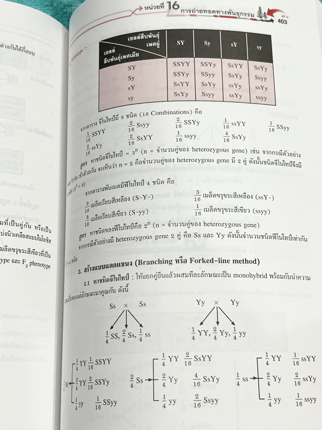 ►หนังสือ100จุดเน้นชีววิทยา◄ หนังสือ Hi-ED ดร.สมาน แก้วไวยุทธ 100จุดเน้นชีววิทยาม.4-5-6 เพื่อเตรียมตัวสอบคัดเลือกเข้ามหาวิทยาลัย สอบวัดความรู้ในทุกการสอบเพื่อให้ได้เกรด4 ในหนังสือมี 100 จุดเนื้อหาหลักที่ต้องเน้นและต้องรู้ มีโจทย์ประจำบท มีเฉลยอย่างละเอียดค