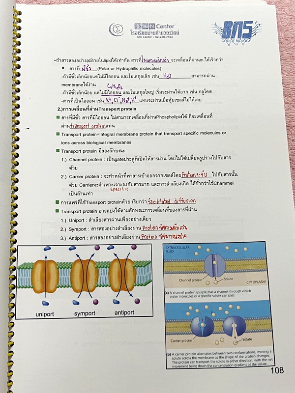 ►ครูบาส◄ หนังสือเรียนพิเศษ Basic Bio M.4 ในหนังสือมีสรุปเนื้อหาและตัวอย่างข้อสอบ จดครบเกือบทั้งเล่ม จดละเอียดด้วยปากกาสี ลายมือจดน้องผู้หญิงเป็นระเบียบเรียบร้อย ตั้งใจเรียน หนังสือพิมพ์สีสวยงามทั้งเล่ม หนังสือใส่ปกสันเกลียว เปิดอ่านง่าย