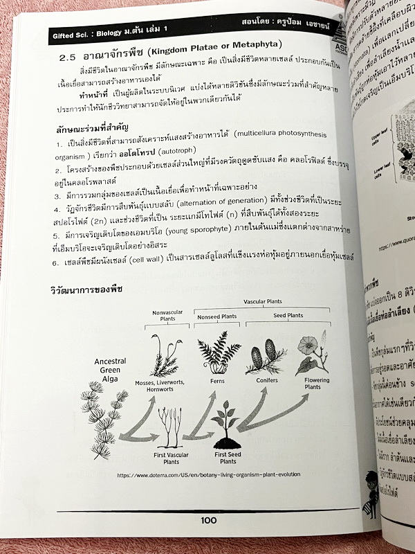 ►GIFTED SCI.◄ ASCI Tutor เอซายน์ ครูป้อม หนังสือเรียนวิทย์ ม.ต้น GIFTED SCI. ชีววิทยาเล่ม 1-2 มีสรุปเนื้อหา เนื้อหาตีพิมพ์สมบูรณ์ มีโจทย์ประจำบท โจทย์ไม่มีเฉลย หนังสือใหม่ไม่มีรอยขีดเขียน หนังสือเล่มหนาใหญ่