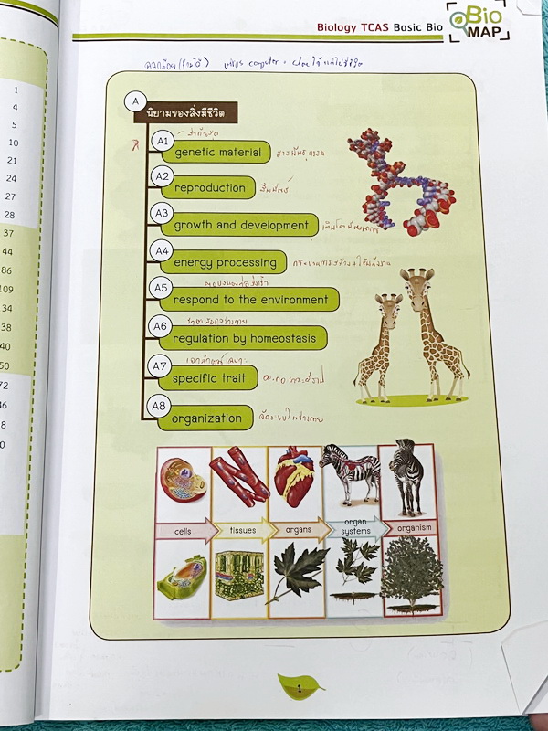 ►ชีววิทยา ม.ปลาย◄ หนังสือกวดวิชาออนดีมานด์ ชีววิทยาพี่วิเวียน TCAS ครบเซ็ท 6 เล่ม + ไฟล์โจทย์ข้อสอบปี 2565-2566 และเฉลยละเอียด - ในหนังสือมีสรุปเนื้อหาวิชาชีววิทยา ม.ปลายอย่างละเอียด เนื้อหาครอบคลุมตั้งแต่ระดับชั้น ม.4-5-6 เนื้อหาลึกถึงสอบเข้ามหาลัย หนังส