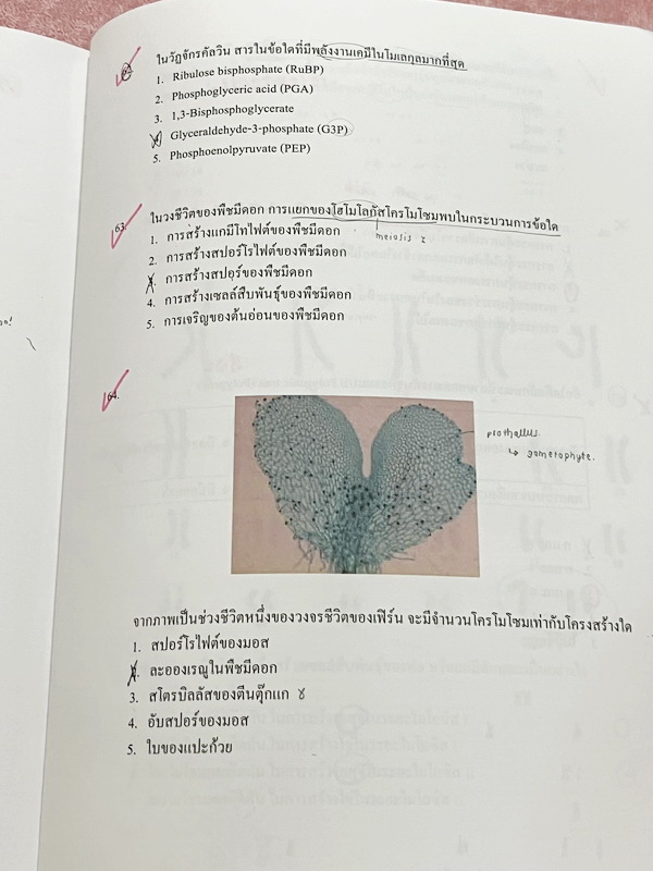 ►หมอพิชญ์ไบโอบีม◄ Coma Quiz หนังสือตะลุยโจทย์ชีววิทยา ม.ปลาย รวมโจทย์ทุกบททุกเรื่อง มีโจทย์ทั้งหมด 13 ชุด รวมทั้งหมด 535 ข้อ จดครบเกือบทั้งเล่ม จดละเอียด หนังสือใส่ปกสันเกลียว เปิดอ่านง่าย