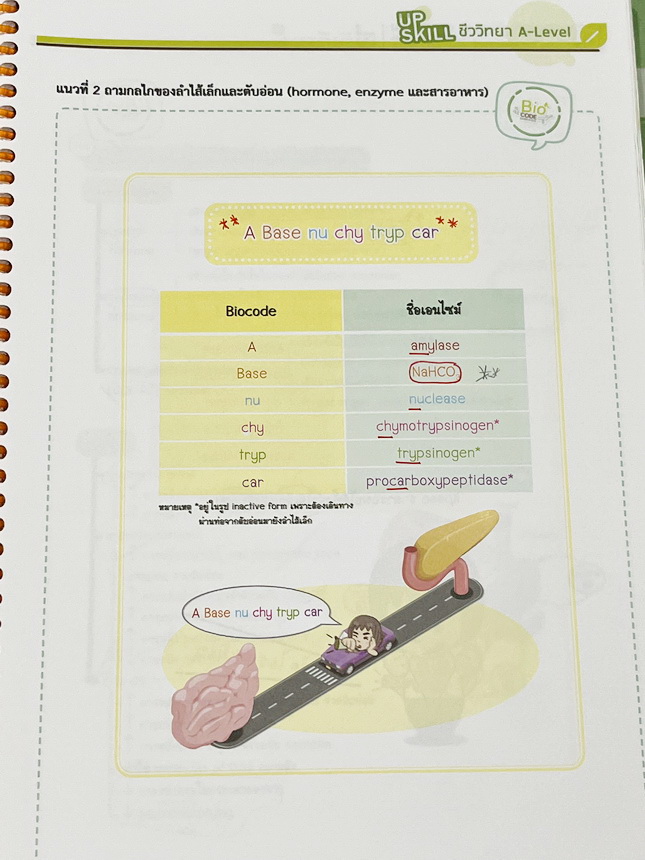 ►ชีววิทยา A-Level◄ หนังสือกวดวิชาออนดีมานด์ Upskill อัพสกิลชีววิทยา A-Level เล่ม 1-2 มีสรุปเนื้อหาสำคัญสั้นๆกระชับ เพื่อใช้เตรียมสอบ ม.ปลาย A-Level มีโจทย์เยอะมาก จดครบเกือบทั้งเล่ม จดละเอียด มีจดเน้นจุดที่ออกสอบบ่อยๆ หนังสือเล่มใหญ่ หนังสือใส่ปกสันเกลียว