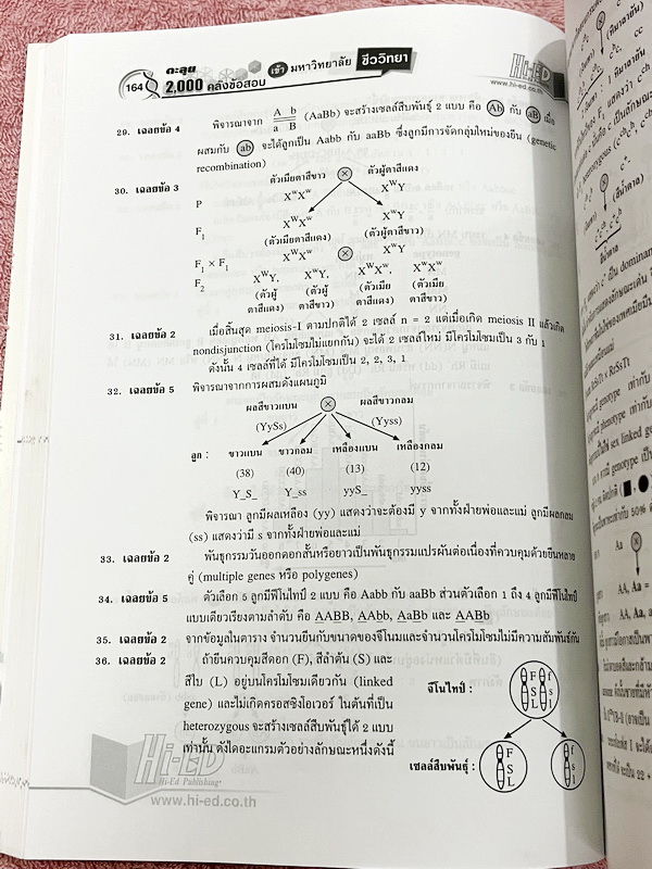 ►คลังข้อสอบ◄ หนังสือ อ.สมาน แก้วไวยุทธ HI-ED คลังข้อสอบแข่งขันชีววิทยา ม.4-5-6 2000 ข้อ เพื่อเตรียมตัวสอบเข้ามหาวิทยาลัย TCAS 9วิชาสามัญ สอบตรง คัดแยกโจทย์เป็นเรื่องๆ หนังสือไม่มีรอยขีดเขียน หนังสือหายาก ขายเกินราคาปก มีเฉลยละเอียดครบทุกข้อ