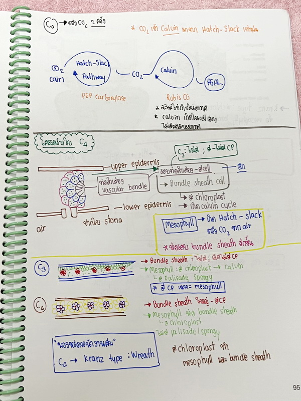 ►หมอพิชญ์ Biobeam◄ หนังสือเรียนชีววิทยา คอร์ส ICU ไอซียู ครบเซ็ท 8 เล่ม พร้อมไฟล์จดเนื้อหาครบทั้งเซ็ทแบบละเอียดมากครบทั้ง 8 เล่ม และไฟล์ชีทเสริม ในหนังสือเล่ม 1-6 จดครบเกือบทั้งเล่ม จดละเอียด มีวาดภาพประกอบเนื้อหาเยอะมาก , เล่ม 7-8 มีจดเล็กน้อย แบบฝึกหัดป